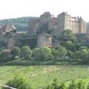 ck-img_4247