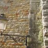 ck-img_4252