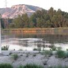 ck-img_4351