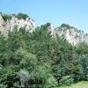 ck-img_4453