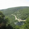 ck-img_4479