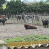 ck-img_4554