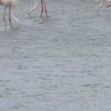 ck-img_4590