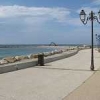 ck-img_4607
