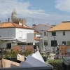 ck-img_4608