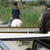 ck-img_4610