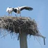 ck-img_4625