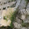 ck-img_4723