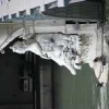 ck-img_4842