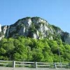 ck-img_4909