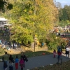 800px_WP_20141026_kuerbis (4)