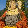800px_WP_20141026_kuerbis (47)