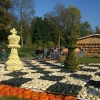 800px_WP_20141026_kuerbis (48)