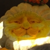 800px_WP_20141026_kuerbis (64)