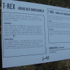 800px_WP_20141026_kuerbis (71)