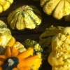 800px_WP_20141026_kuerbis (9)