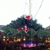 Ludwigsburg Barocker Weihnachtsmarkt 2016