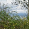 ck-img_5820