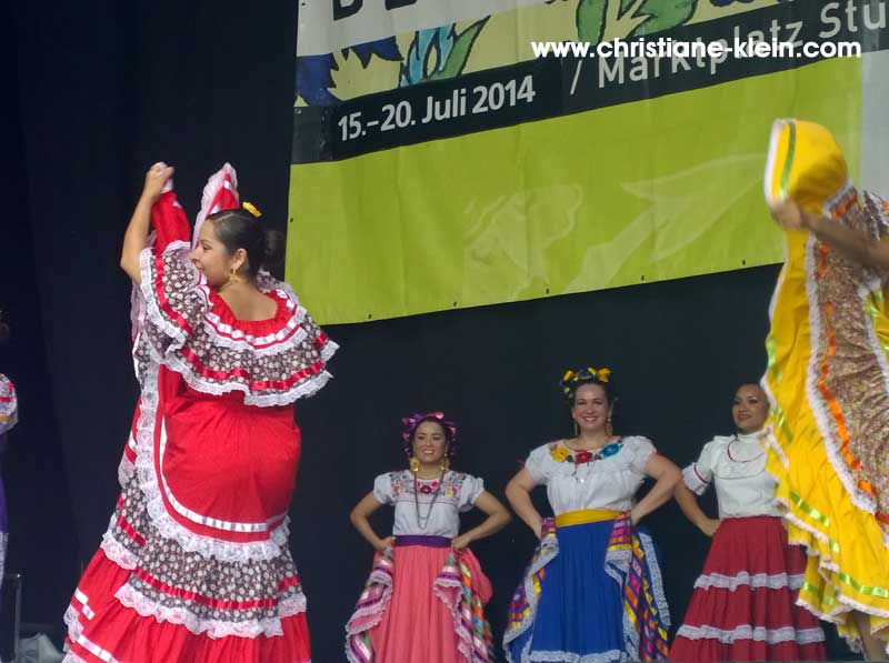 WP_20140720_12_42_10_Pro