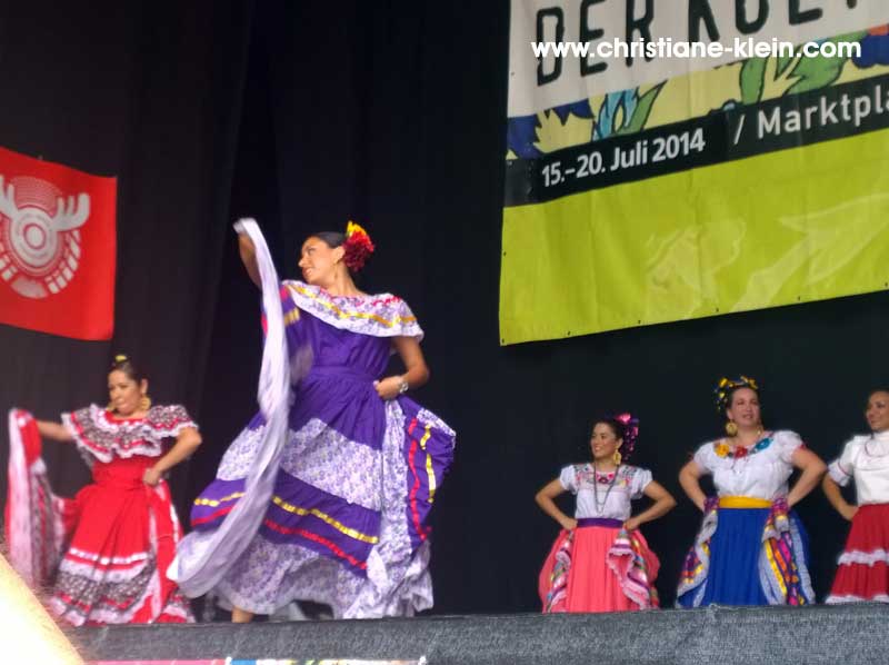 WP_20140720_12_43_50_Pro