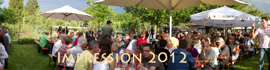 Impressionen vom Liederkranz Gartenfest 2012